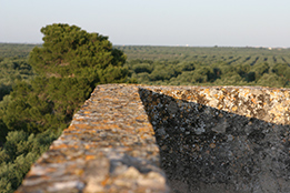 Torre del Cardo tower panorama