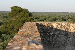 Torre del Cardo panorama torre